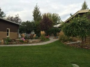 House lawn with plant and trees