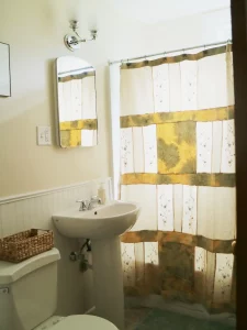 Washroom with shower curtain and basin at the side and mirror on top with kamord