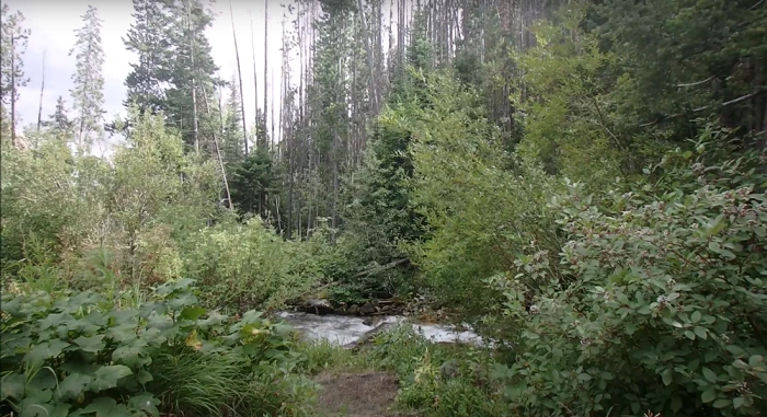 Lost Creek State Park Montana