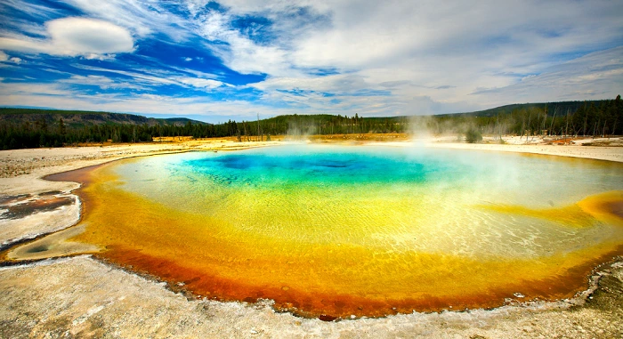 Yellowstone National Park Montana